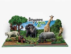 Image result for Singapore Zoo Cartoon