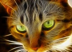 Image result for Cute Neon Cat