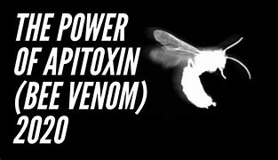 Image result for Apitoxin