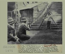 Image result for Firing Squad Bodies