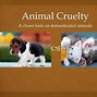 Image result for Animal Cruelty Questions