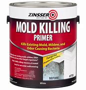 Image result for Killing Mold On Ceiling