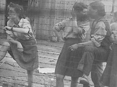 Image result for Mauthausen Survivors