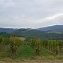 Image result for Wine Regions in Tuscany