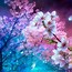 Image result for Cherry Blossom Wallpaper Night Landscape