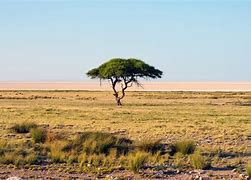 Image result for Afrika Bilder