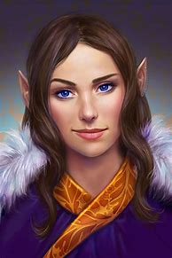 Image result for Half-Elf Wizard Female