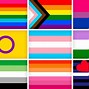 Image result for LGBTQ Flag Crossed Out
