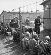 Image result for Belsen Concentration Camp