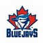 Image result for Toronto Blue Jays Concept Logo
