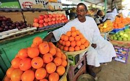 Image result for French Sudan Government