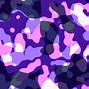 Image result for Camouflage Painting