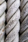 Image result for Twisted Rope