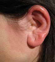 Image result for Minimalist Ear Piercings