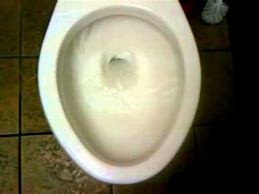 Image result for Ferguson Toilet