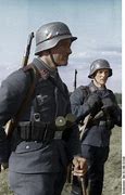 Image result for Luftwaffe Field Division Uniform