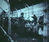 Image result for Female Concentration Camp Guards
