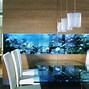 Image result for Flat Wall Fish Tank