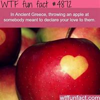 Image result for Short Fun Facts