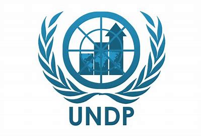 Image result for undp