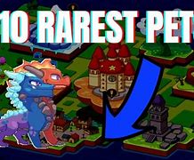Image result for What Is the Rares Pet in Prodigy Games