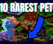 Image result for What Is the Rarest Prodigy Pet