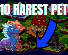 Image result for Rare Prodigy Pets