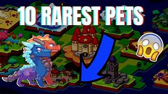 Image result for Rarest Pet in Prodigy