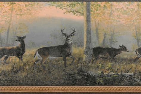 Prepasted Wallpaper Border   Animal Brown, Green, Yellow Deer in Forest  