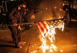 Image result for BLM riots