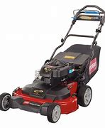 Image result for Home Depot Walk Behind Lawn Mowers