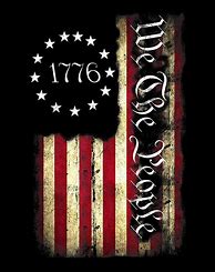 Image result for USA Flag 1776