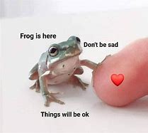 Image result for Question Frog Meme