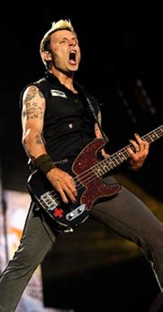 Image result for Mike Dirnt