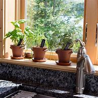 Image result for Small Indoor Herb Garden
