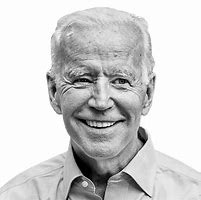 Image result for Joe Biden Icon