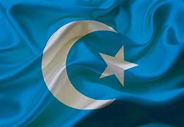 Image result for Free East Turkestan