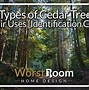 Image result for Different Types of Red Cedar Trees