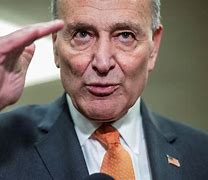 Image result for Chuck Schumer Pictures