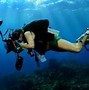 Image result for Dubai Aquarium and Underwater