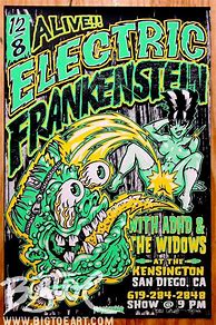 Image result for Screenprint Rock Posters
