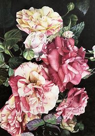 Image result for Olivia Brower Wearing Roses