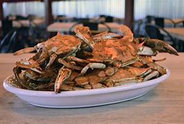Image result for Crabs in Tappahannock Va