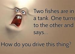 Image result for Funny Jokes That Are Funny