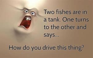 Image result for Real Funny Jokes and Quotes
