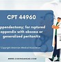Image result for CPT Lap Appendectomy
