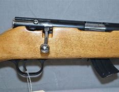Image result for Trailblazer Lakefield 22 Rifle