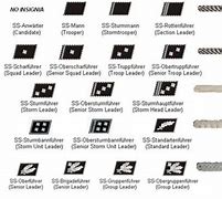 Image result for Gestapo Rank Insignia