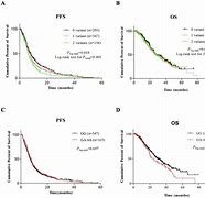 Image result for Survival Small Cell Lung Cancer Prognosis