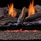 Image result for Gas Log Fireplace Inserts